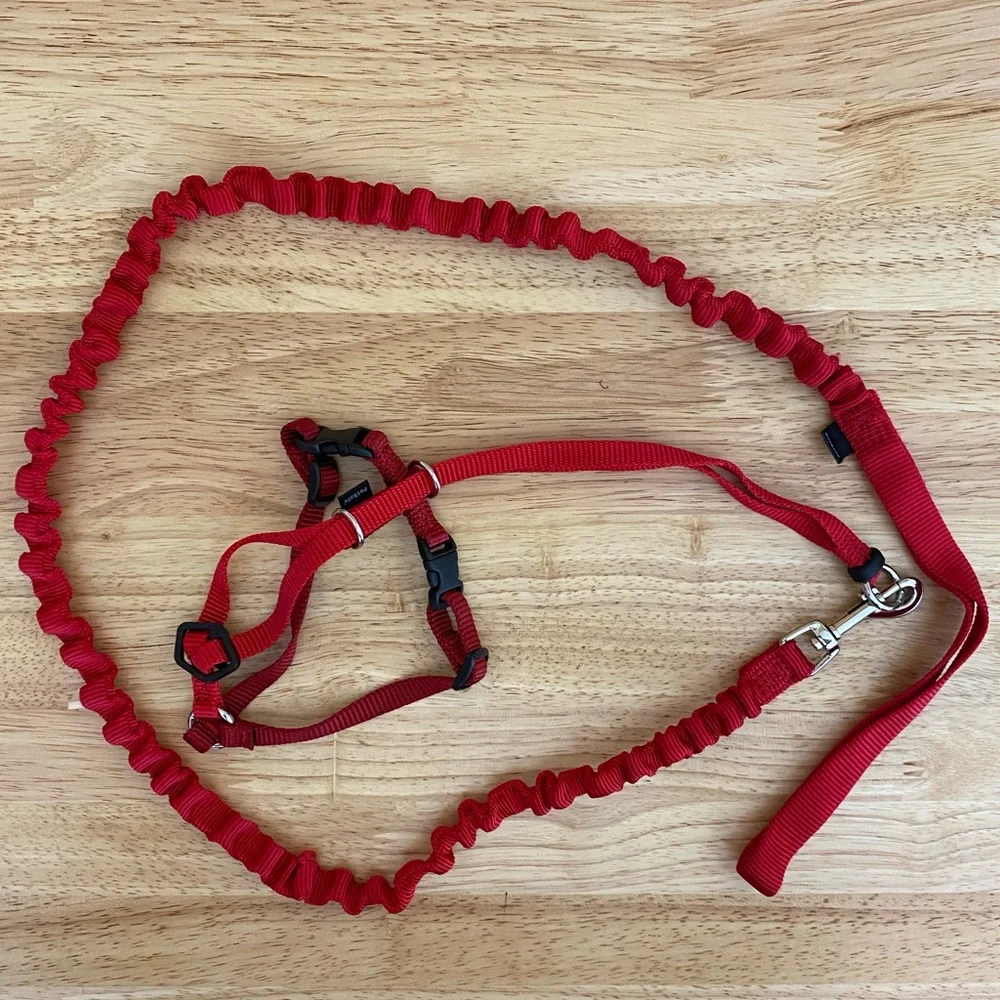 Pet Safe Cat Red Bungee Leash and Harness